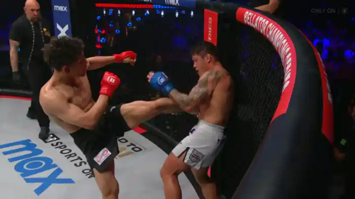 菊入正行 vs. ハーマン・テラード