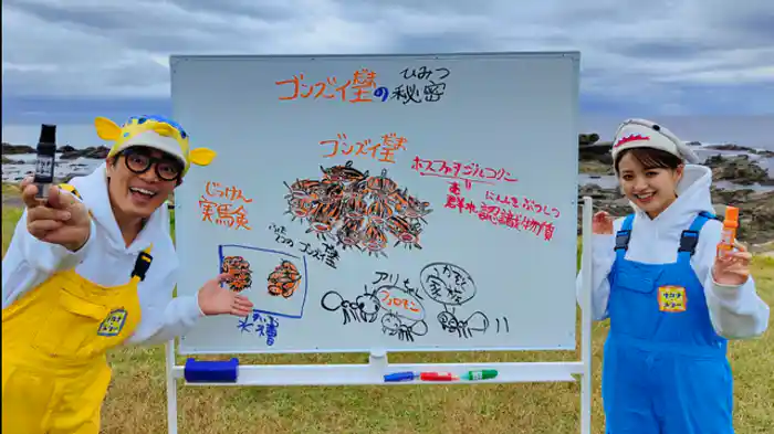 さかなクンが選ぶ「毒魚(どくぎょ)」ベスト3