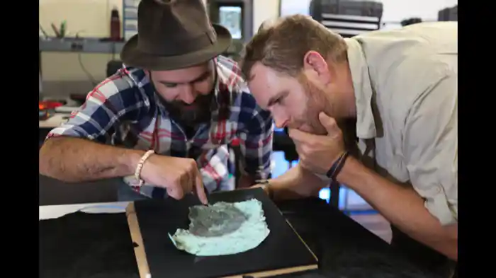 大西洋に沈んだ財宝