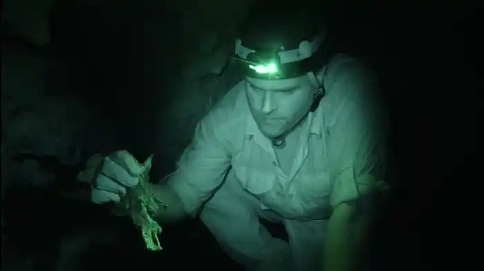 チュパカブラを探せ