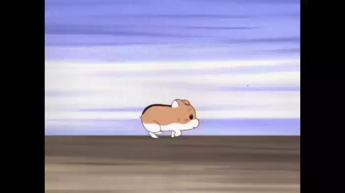ハムちゃんは、夜が大好き