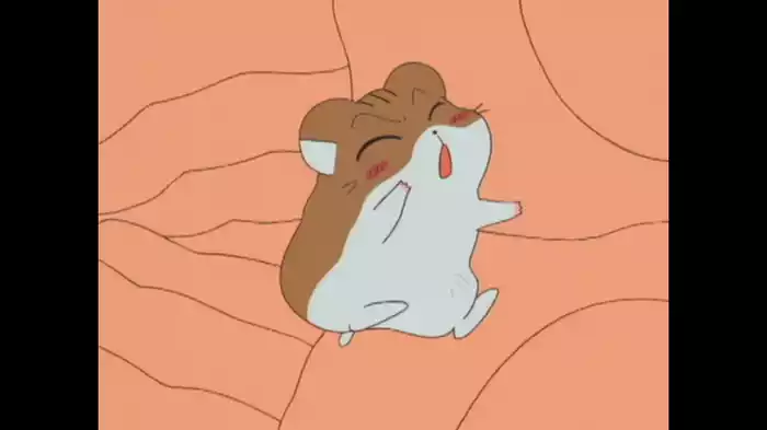 もう家族だね、ハムちゃん