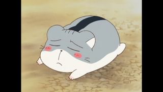 ハムスター倶楽部 ＃64 お散歩は楽しい？(アニメ / 2000) - 動画配信