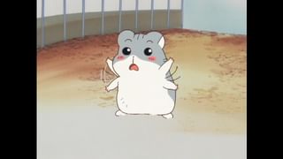 ハムスター倶楽部 ＃64 お散歩は楽しい？(アニメ / 2000) - 動画配信