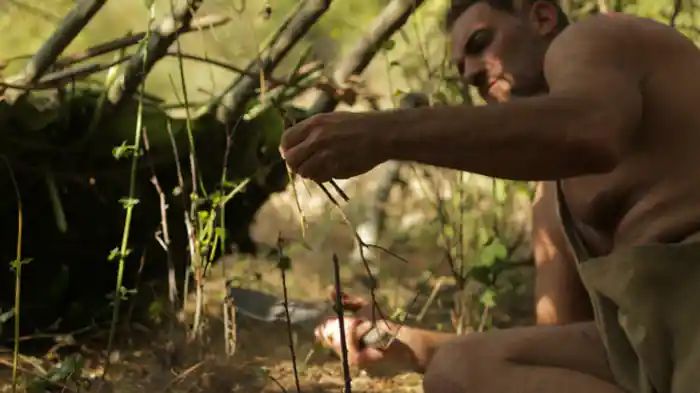 孤独なオオカミ