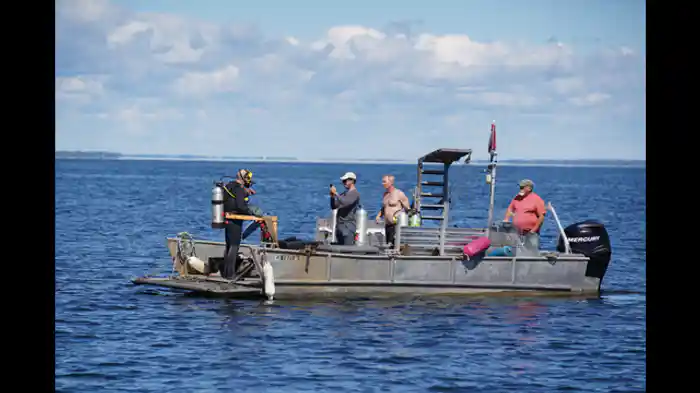 湖に潜む謎生物