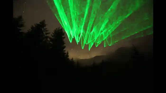 サルたちの渓谷