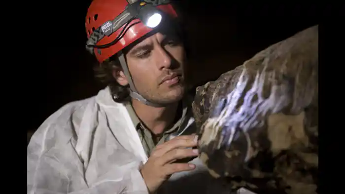 生命の火星起源説