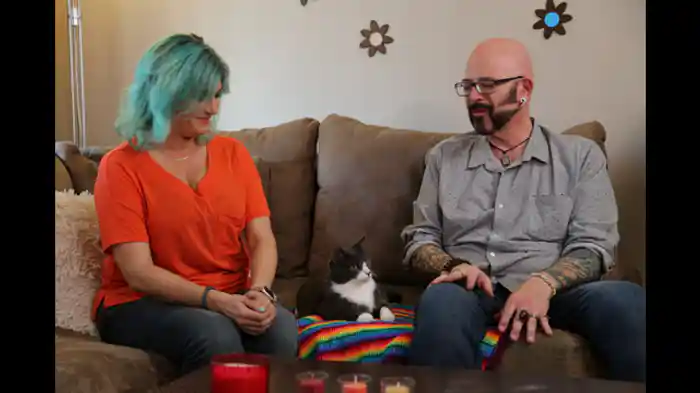 過去の引っかき傷