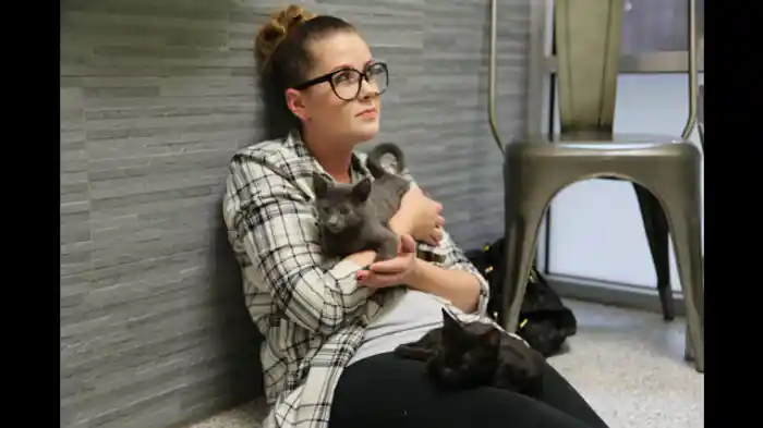 にゃんにゃんインポッシブル