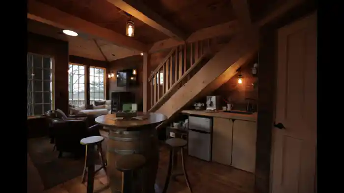 樹上のグランピング