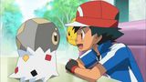 第12話 ポケモンバイヤーを捕まえろ! コフーライ偽装作戦!!