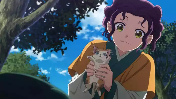 猫猫と毛毛