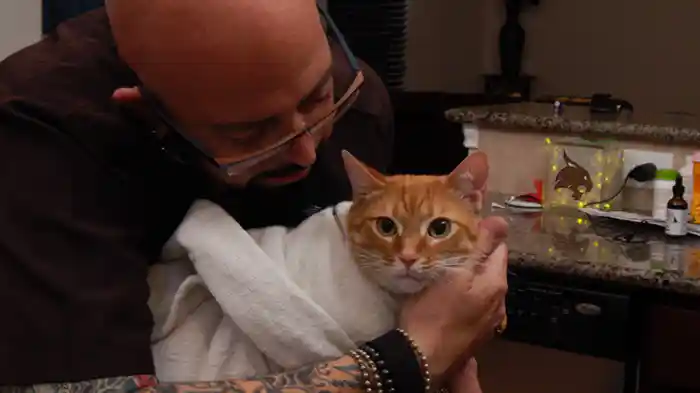 生傷が絶えない日々