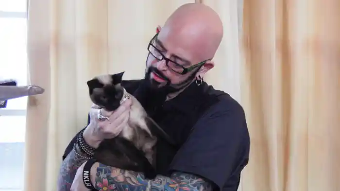 トラウマを持ったねこ