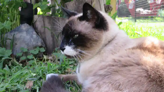 結婚できない理由