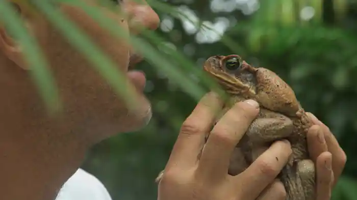 ブラジル5 名場面と撮影舞台裏