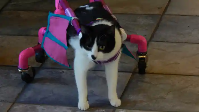 精神状態が与える影響