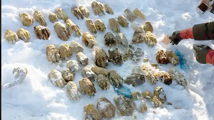 タイタニック号