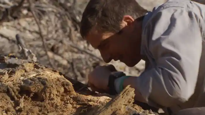 バハ・カリフォルニア