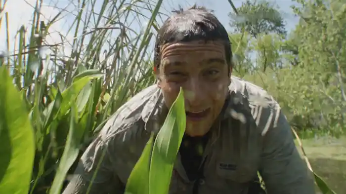 米南部・大湿地帯