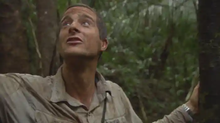 ベリーズのジャングル