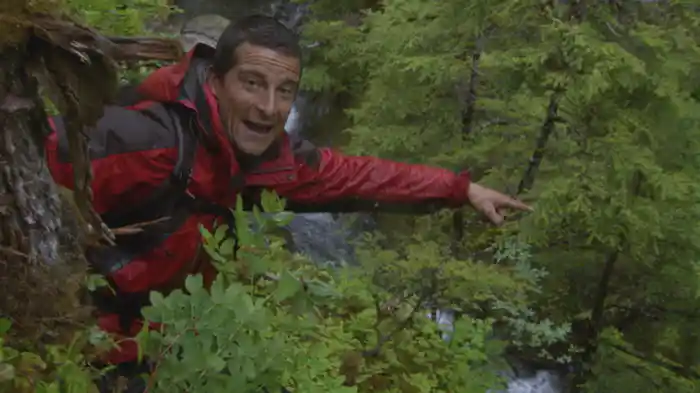 アラスカ・チュガッチ山地