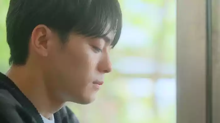 しあわせ芝居が終わる時