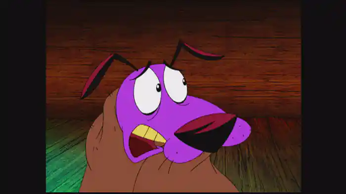 クモの巣こわいよー!/特製ばあちゃんシチュー