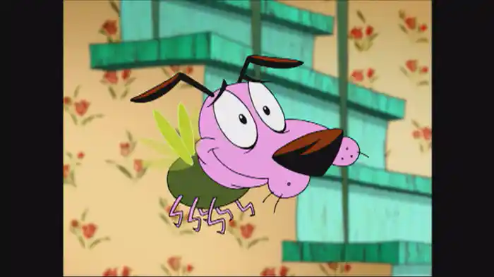 ハエハエカーレッジ/おかしなおかし