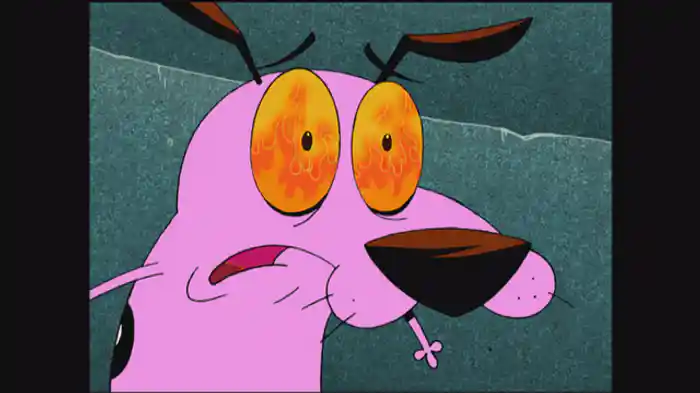 のるかそるか!イルカ/どっちのドラゴン