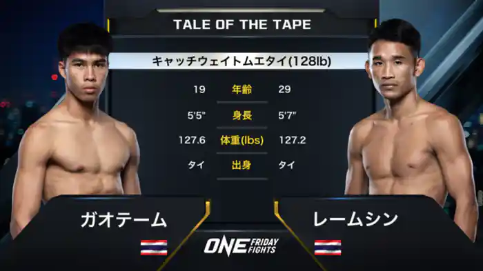 ガオテーム vs. レームシン