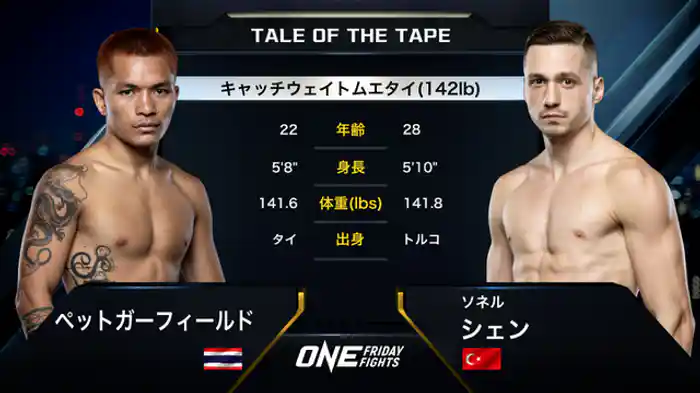 ペットガーフィールド vs. ソネル・シェン