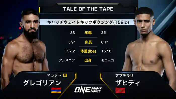 マラット・グレゴリアン vs. アブデラリ・ザヒディ
