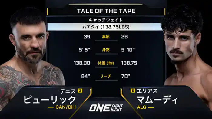 デニス・ピューリック vs. エリアス・マムーディ