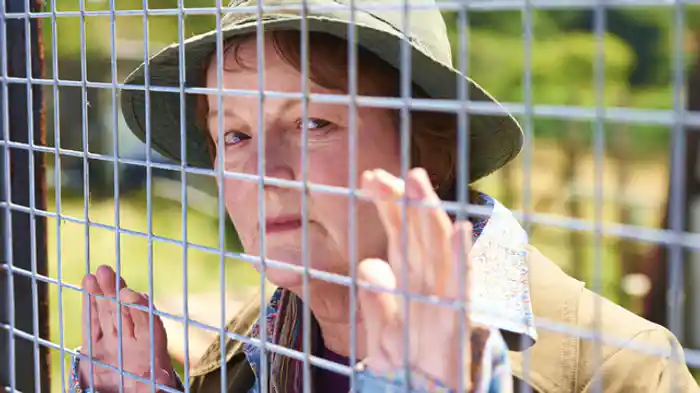 過去からの告発