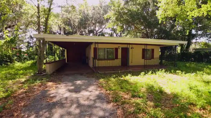 トカゲ、クモ、ヘビ!!