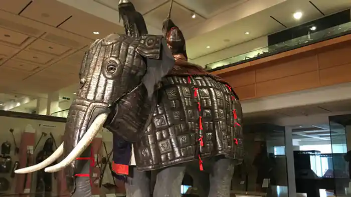 石のペットで荒稼ぎ