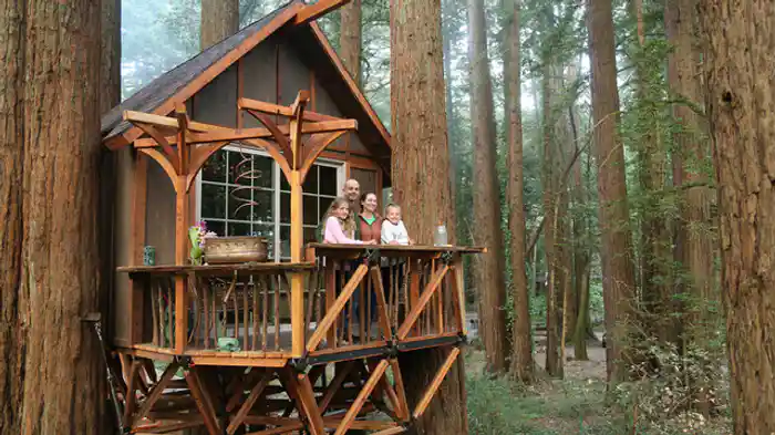 究極のツリーハウス