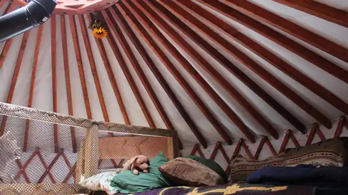 アラスカ式ユルト