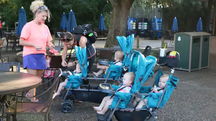 ５つ子ファミリーの悪夢