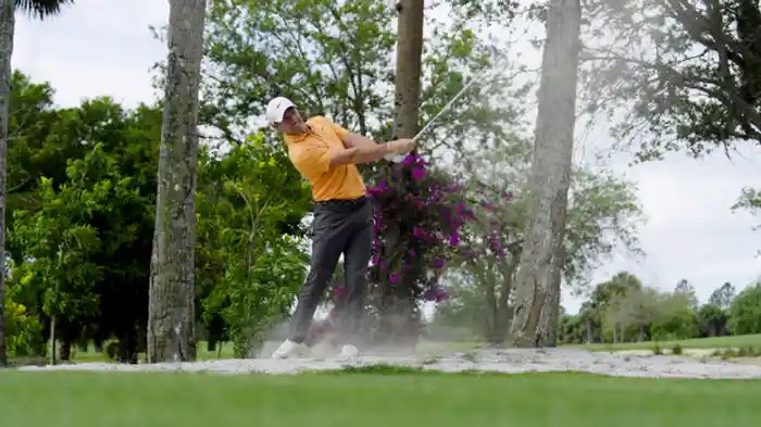 Ride the Wave(波に乗れ)