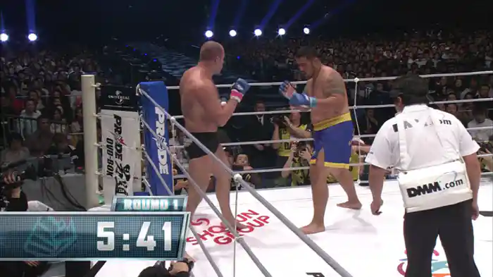 Submissions - 関節技