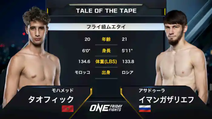 モハメッド・タオフィック vs. アサドゥーラ・イマンガザリエフ