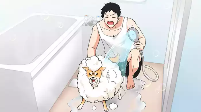 まどかがいない…