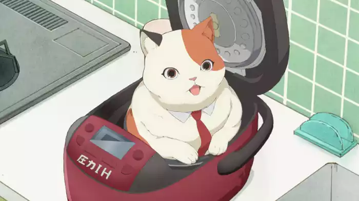 ムームーと炊飯器