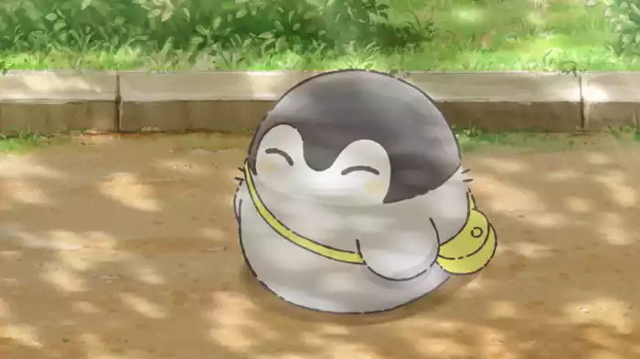 こういうお花見も