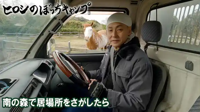 南の森で居場所をさがしたら