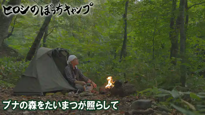 ブナの森をたいまつが照らして