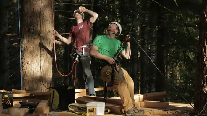 ネルソン家のツリーハウス